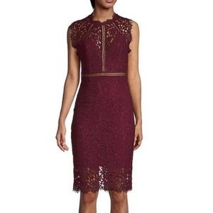 NWT Bardot Lace Sheath Dress Wine Burgundy 8 M